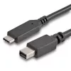 StarTech.com 6 ft. (1,8 m) USB-C na Mini DisplayPort kabel - 4K 60Hz - crni