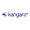 KANGARO višenamjenski papir A4 160 g/m² svijetlozeleni, obostrano, bez drva, bez klora, bijeljeni, 250 listova K-0039-280