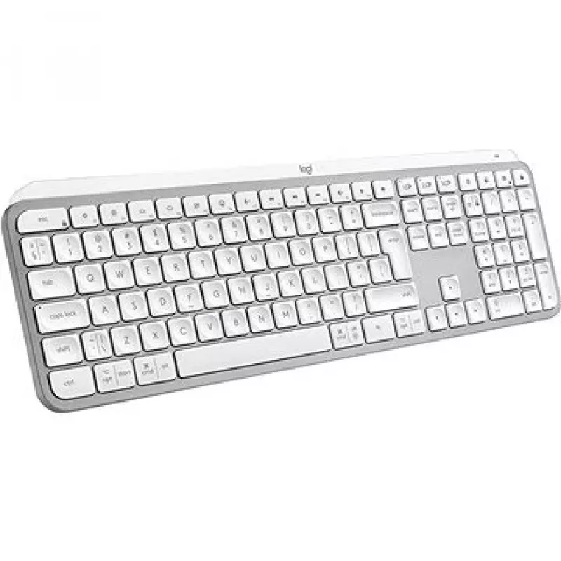 Logitech 920-011638 aluminij, bijelo