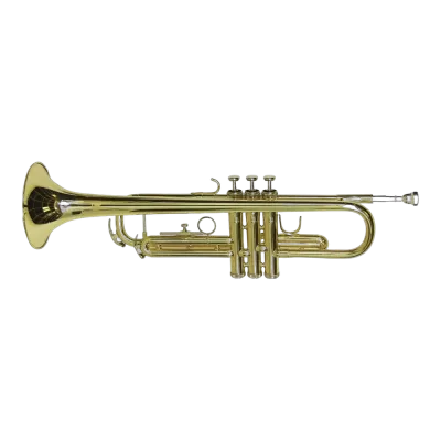 Puhački instrumenti