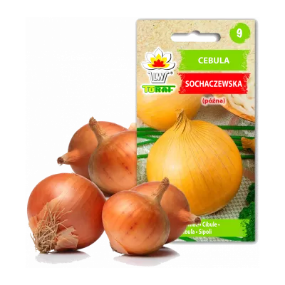 Sjeme povrća