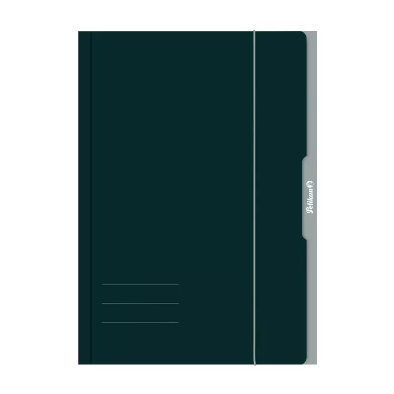Pelikan 276856 mapa A3 karton zelena