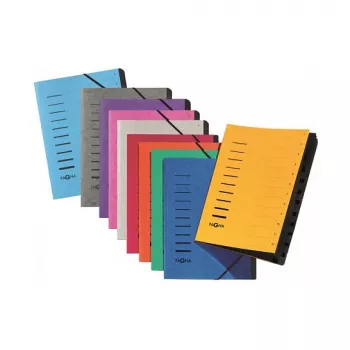 Pagna 40059-02 Ordnungsmappe 12-Compartment Organiser, A4, Blue