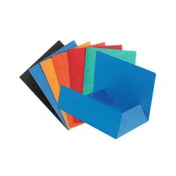 Exacompta 56400E A4 višebojni registri - 200 listova, 250x320 mm, 100% reciklirani karton, univerzalno bušenje, certifikat Plavi anđeo