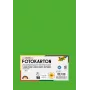 Folia 614/50 55 - zelena - jednobojna - A4 (210 x 297 mm) - 300 g/m² - 50 listova - Njemačka