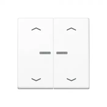JUNG Home tipka 2-struka Bluetooth AS 17102 P WW