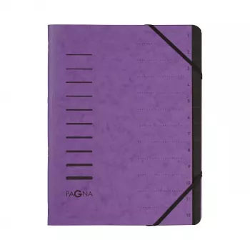 Pagna 40059-10 Ordnungsmappe 12-Compartment Organiser, A4, Aubergine