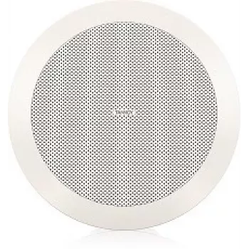 Tannoy CVS 301 3 inch full range stropni zvučnik (bijeli)