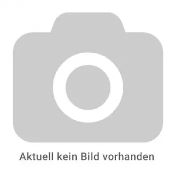REINER numerički pečat model B6 - automatski numerički stroj, 6-znamenkasti, 4,5 mm, crni