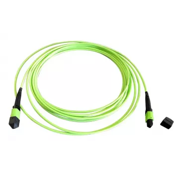 EFB Elektronik MTPF12MTPFOM5-2 2m OM5 MTP na MTP optički patch kabel