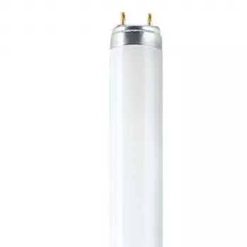 OSRAM L T8 36W/840 G13 fluorescentna cijev 1200mm 4000K hladna bijela