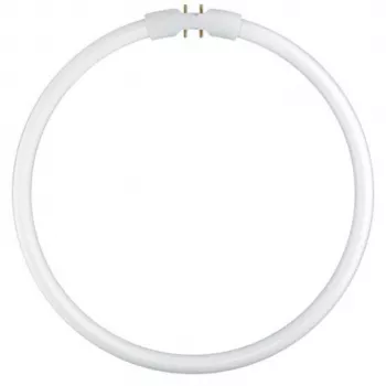 Osram prstenasta fluorescentna svjetiljka T5 FC22W 840 2GX13