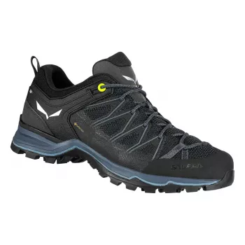 Salewa MTN Trainer Lite GTX planinarske cipele - crno-crne