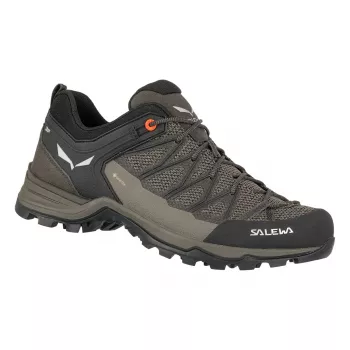 Salewa Mountain Trainer Lite GTX Shoes, Size 44