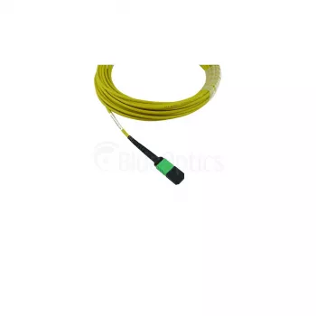 BlueOptics Cisco CB-M12-M12-SMF2M MPO-MPO jednomodni G.657.A1 patch kabel, 2 m