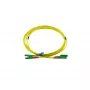 BlueOptics Duplex optički patch kabel, E2000-APC/E2000-APC, singlemode OS2, 3m, zeleni