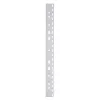 LMG Signaltechnologie 100 Filing Strips for Plastic Binding Machine, Transparent, 2-Prong, A4