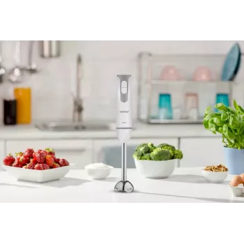 Zelmer ZHB4555 ručni blender