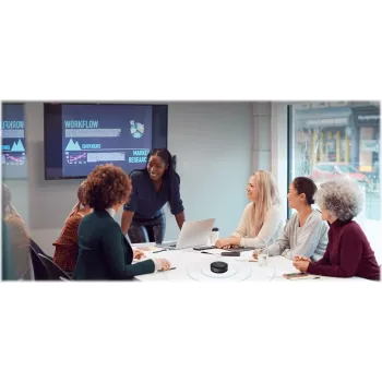 Guangzhou Shirui Bluetooth zvučnik za konferencije BM20