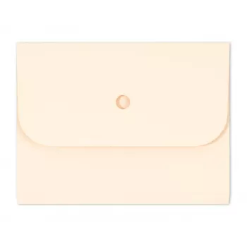 ELCO Ordo Forte organizacijska mapa A4, 320 x 245 mm, 320 g/m², svijetlo bež, 25 komada (29494.41)