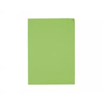 ELCO Ordo Discreta organizacijska mapa A4, 220 x 310 mm, 120 g/m², intenzivno zelena, 100 komada (29466,62)