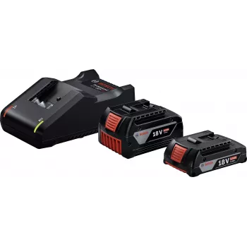 Starter set 18 V (GBA 18 V 4.0/2.0Ah + GAL 18V-40 Professional) (crni, 2x Li-Ion baterija, AMPShare Alliance)