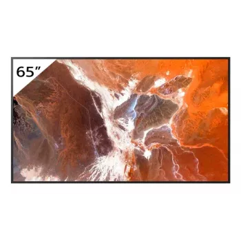 Sony Bravia Professional Displays FW-65BZ30P - 165 cm (65