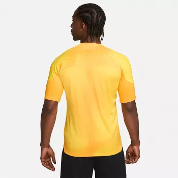 Nike Dri-FIT ADV Gardien IV muški vratarski dres Opti Yellow/Black M