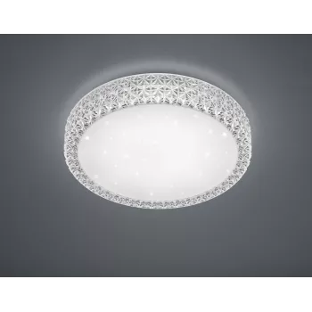 TRIO stropna svjetiljka Pegasus R62422100 21W LED