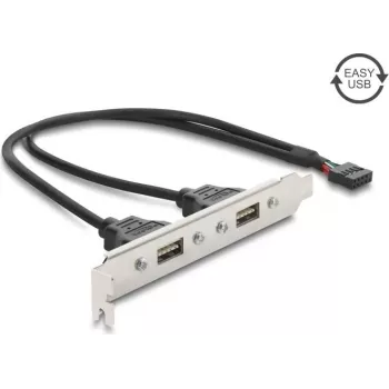 Delock USB 2.0 slot maska s 2 x EASY-USB Type-A porta