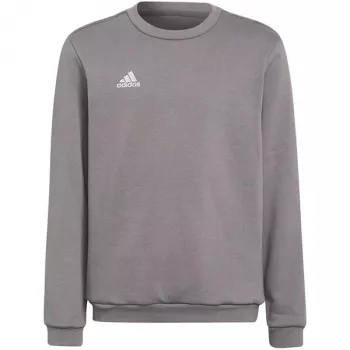 adidas Entrada 22 dječja siva dukserica H57477 (116 cm)