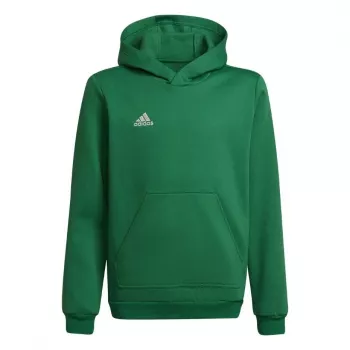 adidas Entrada 22 Hoody dječja majica s kapuljačom zelena 116 cm