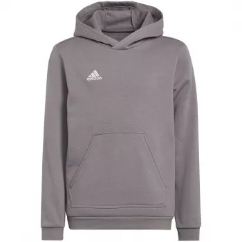 adidas Entrada 22 Hoody dječji sweatshirt sivi 152 cm