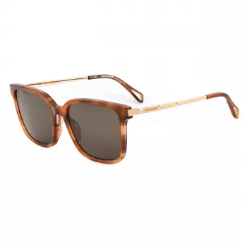 ZADIG & VOLTAIRE SZV308-5507LC ženske sunčane naočale havana s smeđim gradijentnim lećama, 55/18/140 mm