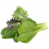 Click & Grow PPMAGX9 Smart Garden biljne kapsule 9 kom (miješane sorte, biorazgradive, s kupolama)