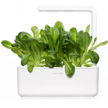 Click & Grow SGR50X3 salata biljne kapsule, nadopuna (3 kom)