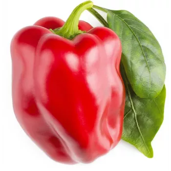 Click & Grow SGR63X3 Smart Garden 3 biljne kapsule, nadopuna (3 kapsule, biorazgradive, predsijanje, Smart Soil)