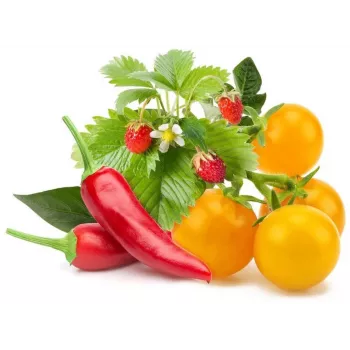 Click & Grow mješavina voća i povrća biljne kapsule za Smart Garden, pakiranje od 9 (PPMFVX9)