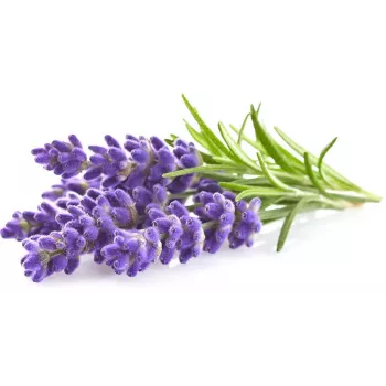 Click & Grow Smart Garden punjenje lavanda, 3 biljne kapsule (SGR30X3)