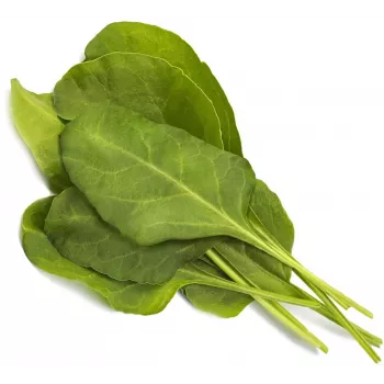 Click & Grow Smart Garden punjenje blitva, 3 biljne kapsule (SGR64X3)