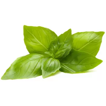 Click & Grow biljne kapsule limunov bosiljak za Smart Garden, pakiranje od 3 (SGR76X3)