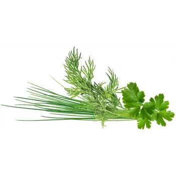 Click & Grow Plant Pod Classic Garnish Mix, 9 kom. (PPMCGX9)