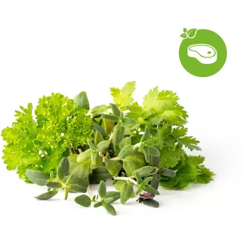 Click & Grow mješavina začina za odrezak biljne kapsule za Smart Garden, pakiranje od 9 (PPMSSX9)