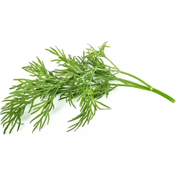 Click & Grow SGR49x3 kapsule kopra, punjenje, 3 kom