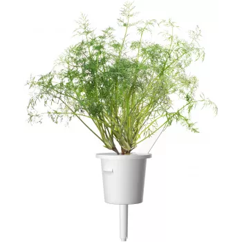 Click & Grow SGR49x3 kapsule kopra, punjenje, 3 kom