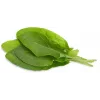 Click & Grow kiselica kapsule za pametni vrt, 3 kom (SGR55X3)