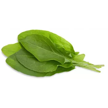 Click & Grow kiselica kapsule za pametni vrt, 3 kom (SGR55X3)