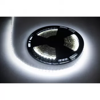 REBEL LED traka set 25m 1500x5050 SMD hladno bijela 12V