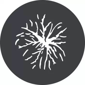 Godox GP GS2 gobo set za GP projekcijski nastavak (6 uzoraka)