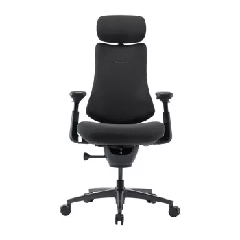 LiberNovo Omni Pro 48 cm ergonomska stolica (grafit)